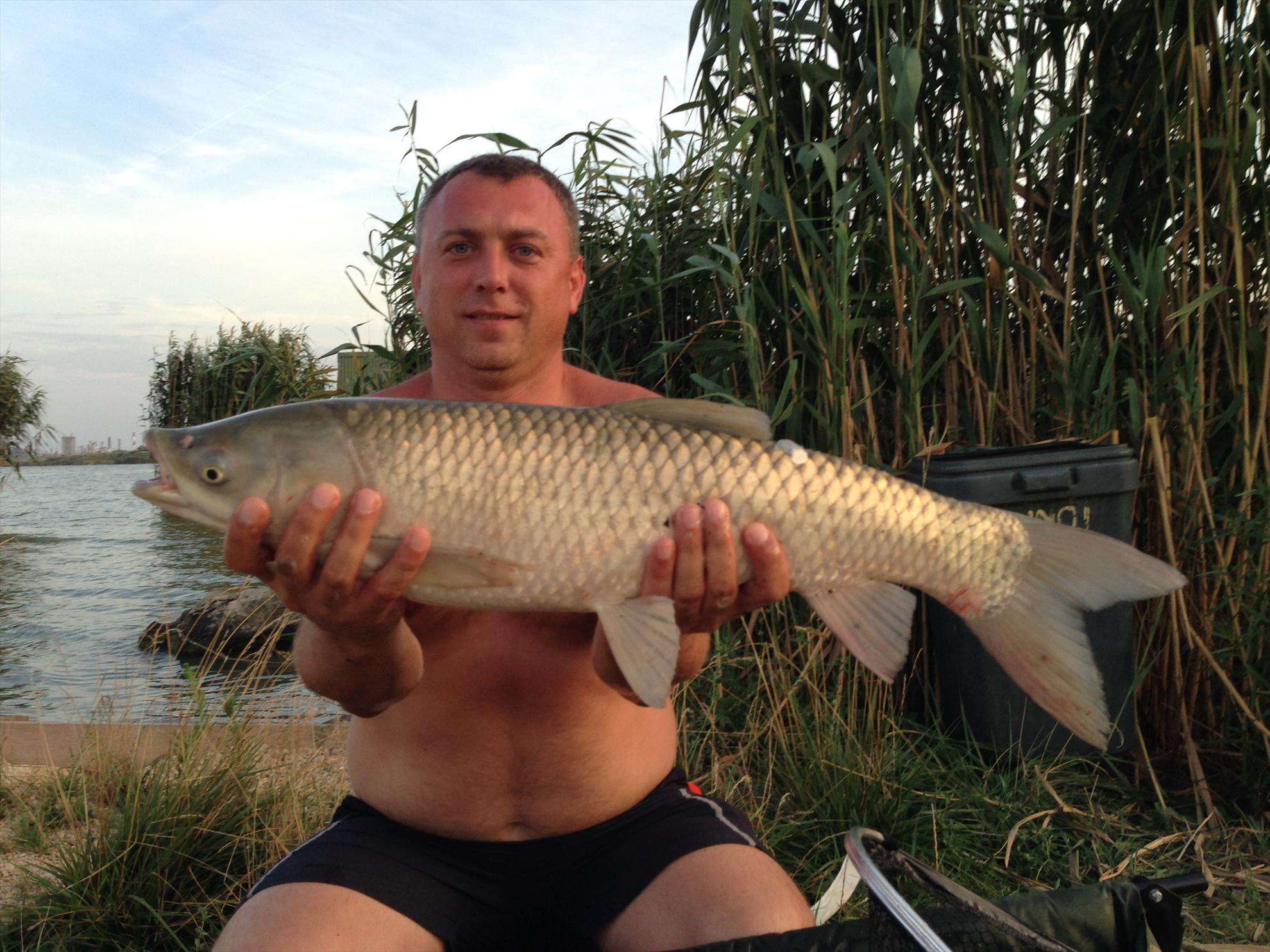 corbu 2015 - img2041.JPG